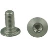 Trioliet śruba Torx M10x23 10,9 84925 Trioliet-Mullos 8716106984985
