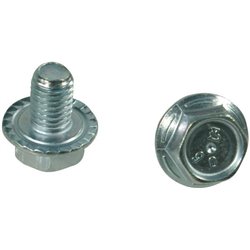 Trioliet śruba kołnierzowa M8x12 mm 83913 Trioliet-Mullos 3046-83913