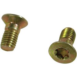 Trioliet śruba Torx M10x20 mm 84912 Trioliet-Mullos 3046-84912