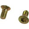 Trioliet śruba Torx M10x20 mm 84912 Trioliet-Mullos 3046-84912