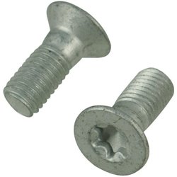 Trioliet śruba Torx M10x25 84913 Trioliet-Mullos 3046-84913