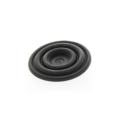 Membrana do quadrix