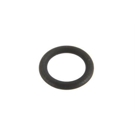 Renault 7700053244 Oring Ergis 2000001653852