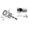 6005018809 Renault / Claas Oring