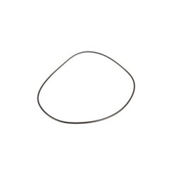 6005018809 Renault / Claas Oring
