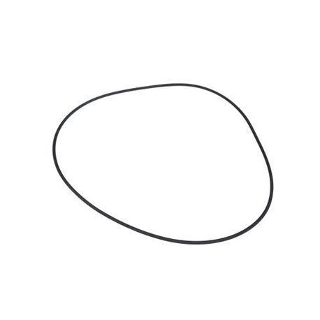Oring 6005019226, 3384524M1 AAAAAAAAAAAAAAA