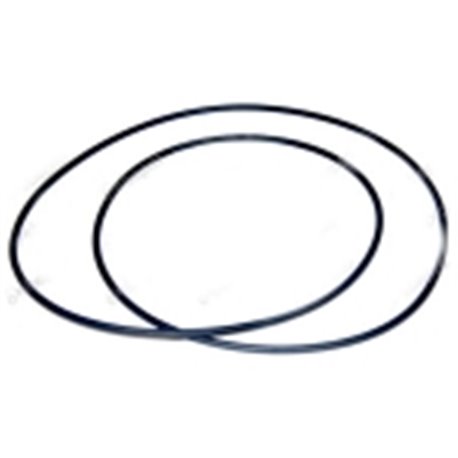 Oring 6005019079