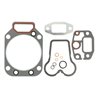 F385202210010 Zestaw uszczelek silnika Fendt Engitech