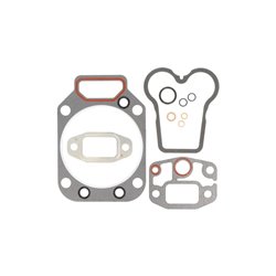 F385202210010 Zestaw uszczelek silnika Fendt Engitech