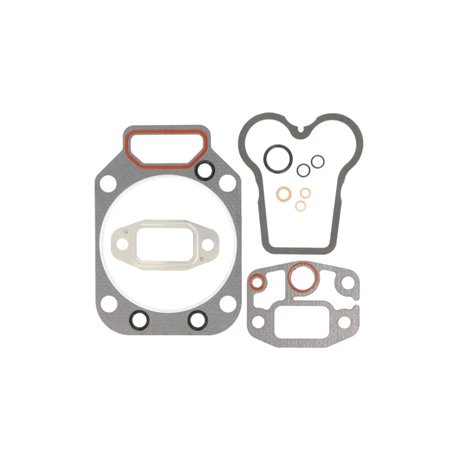 F385202210010 Zestaw uszczelek silnika Fendt Engitech