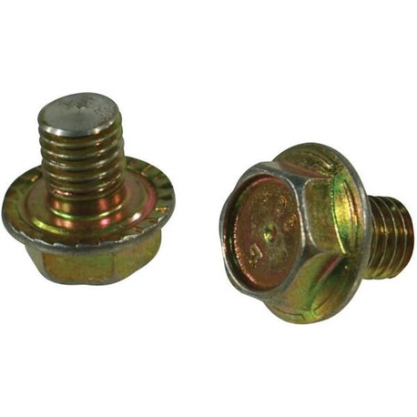 Trioliet śruba zabezpieczająca M10x12 mm 83910 Trioliet-Mullos 3046-83910