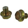 Trioliet śruba zabezpieczająca M10x12 mm 83910 Trioliet-Mullos 3046-83910