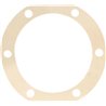 Gasket B04948467R Maschio B04948467R