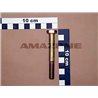 Amazone DB046 Śruba M10x80 kl. 8.8,