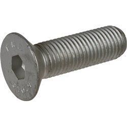 71339216555 Howard Śruba z łbem wpuszczonym M16 × 55 mm, 10,9