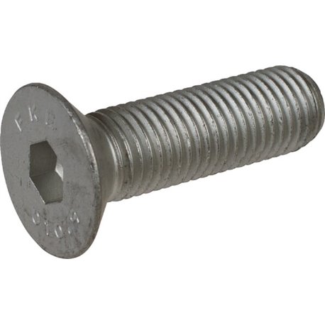 71339216555 Howard Śruba z łbem wpuszczonym M16 × 55 mm, 10,9