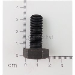 Śruba M10x25x1.25 kl10.9