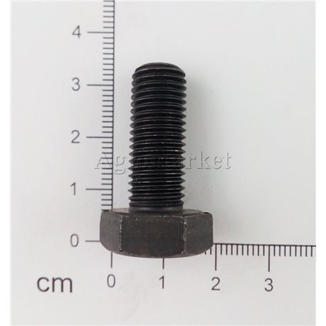 Śruba M10x25x1.25 kl10.9
