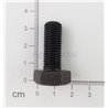 Śruba M10x25x1.25 kl10.9