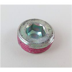 Korek M22x1.5