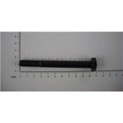 Śruba mech różn M10x100-10.9 54210240