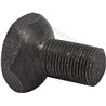 Śruba sprzęgła M12x1x20mm