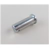 Sworzeń