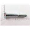 Śruba M14X100