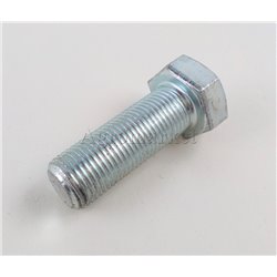 Śruba M16x1x55
