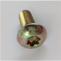 Śruba torx M12x30