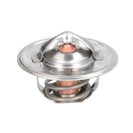 Termostat 6005022968