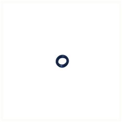 O-Ring +O-ring OE specific