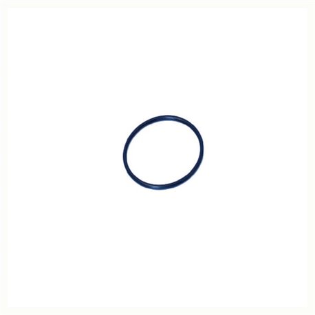 O-Ring +O-ring OE specific