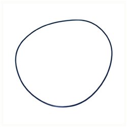 O-Ring +O-ring OE specific