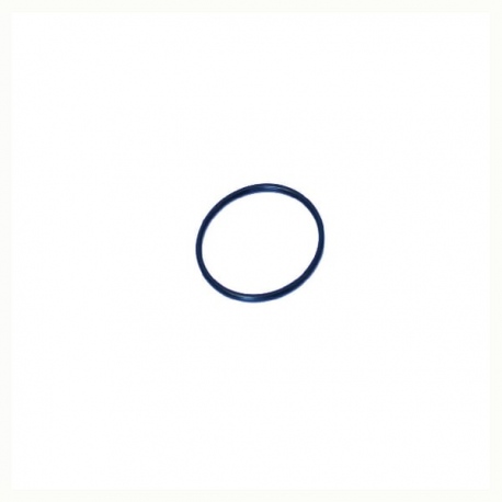 O-Ring +O-ring OE specific