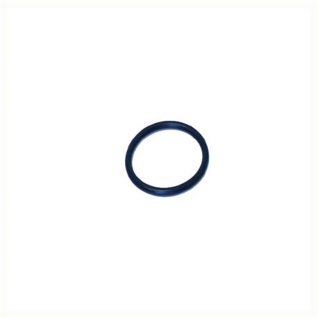 O-Ring +O-ring OE specific