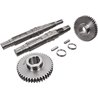 4440001344 Nowy rozrząd BR-EVO 260 P-H - Battioni Pagani ustawić
