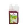 Olej Trawol 2T RED, 1L