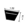 Pasek klinowy 22x4838mm Ld C187" Optibelt 4014486038149