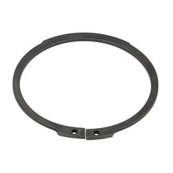 ZF 0630.501.173 Pierścień zabezpieczający 0630501173