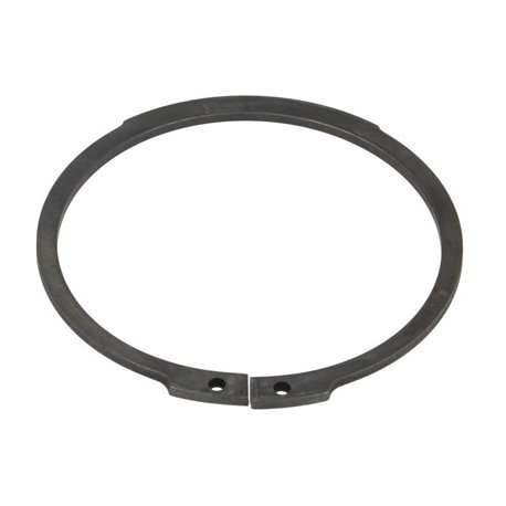 ZF 0630.501.173 Pierścień zabezpieczający 0630501173