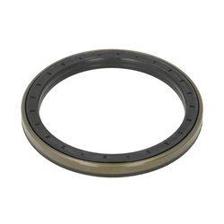 ZF 0734.309.421 Uszczelniacz mostu tył 0734309421