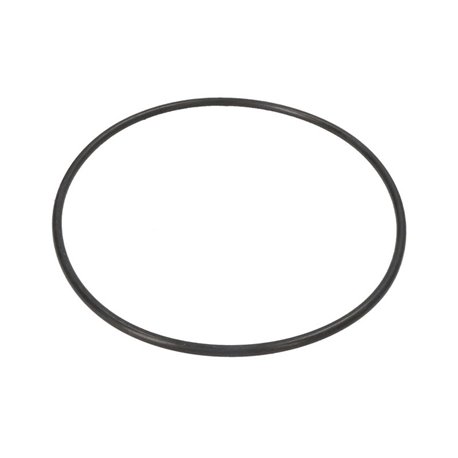 ZF 0634.303.345 Oring 0634303345
