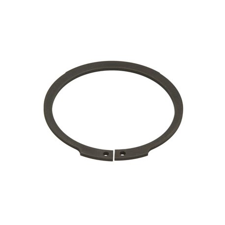 ZF 0630.501.061 Pierścień zabezpieczający 0630501061