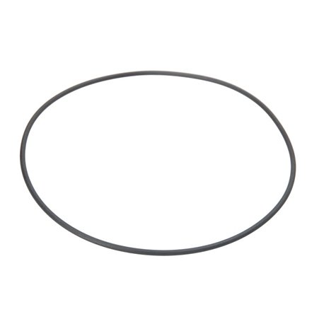 ZF 0501.323.507 Oring 0501323507