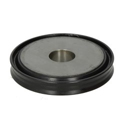 ZF 0501.324.670 Tłok cylindra manualnej skrzyni biegów 0501324670