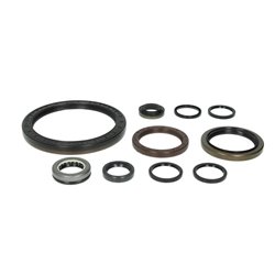 ZF 1315.298.002 Zestaw uszczelek skrzyni biegów 1315298002