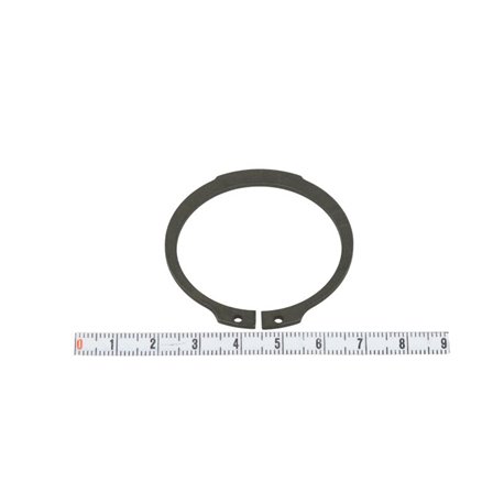 ZF 0501.317.848 seger zabezpieczając 0501317848