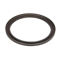 ZF 0734.300.666 Uszczelniacz mostu tył 0734300666