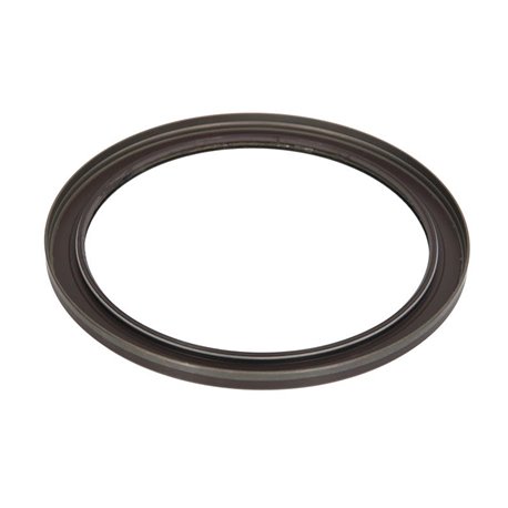 ZF 0734.300.666 Uszczelniacz mostu tył 0734300666